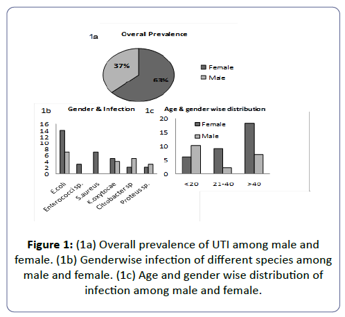 Himedia Antibiotic Sensitivity Chart Pdf