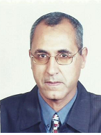 Hossam El-Din M Omar