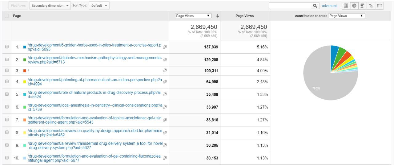 Visitor Analysis Report