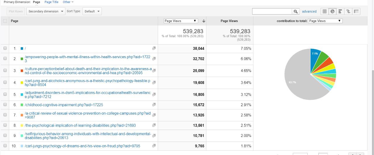 Visitor Analysis Report