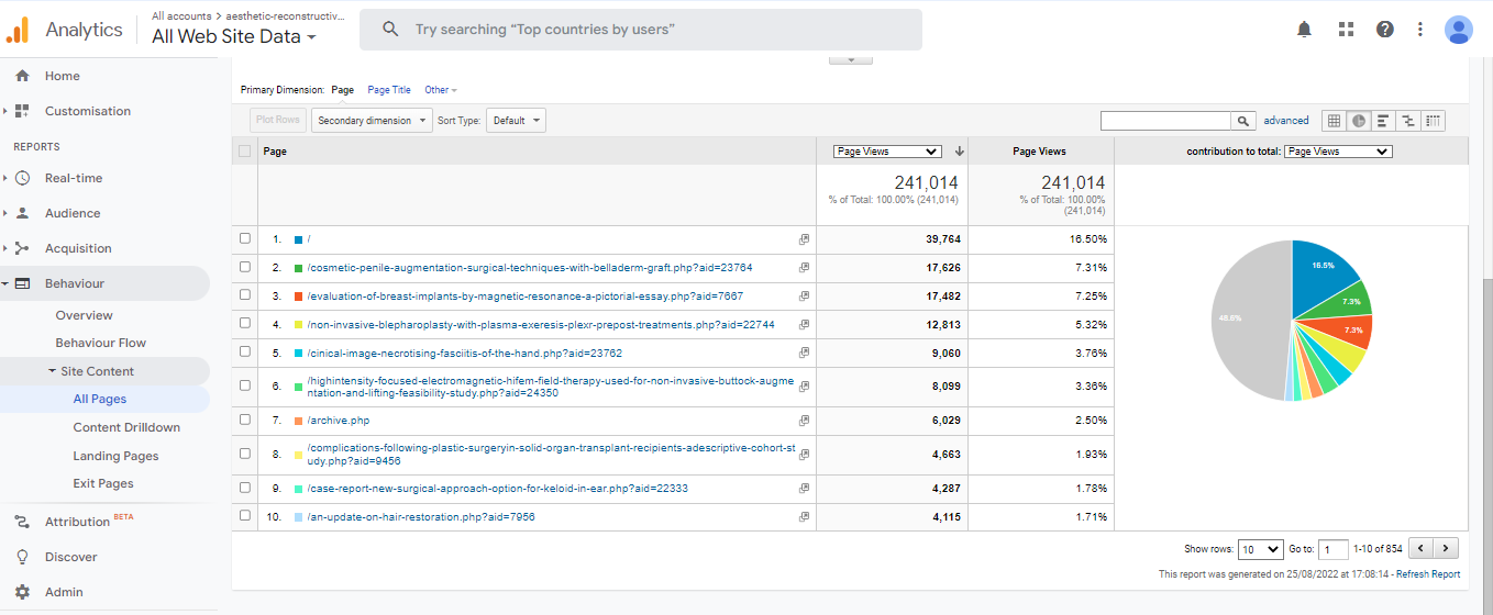 Visitor Analysis Report