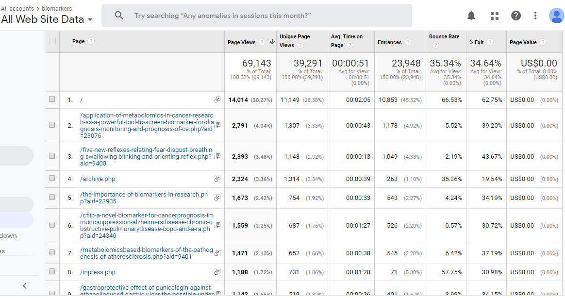 Visitor Analysis Report