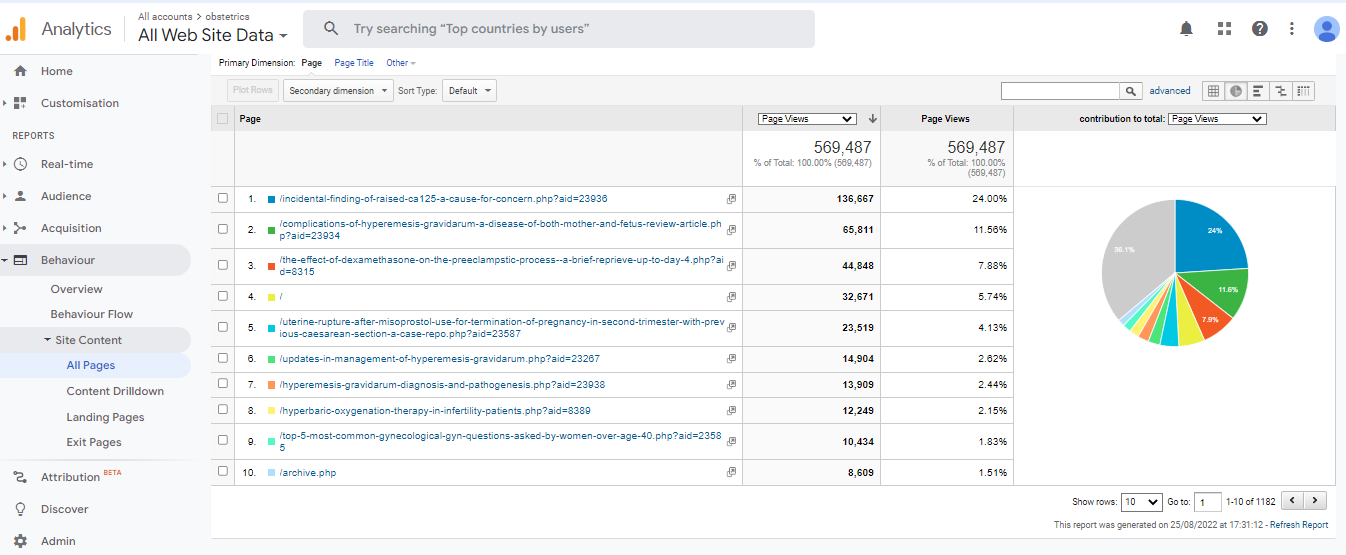 Visitor Analysis Report