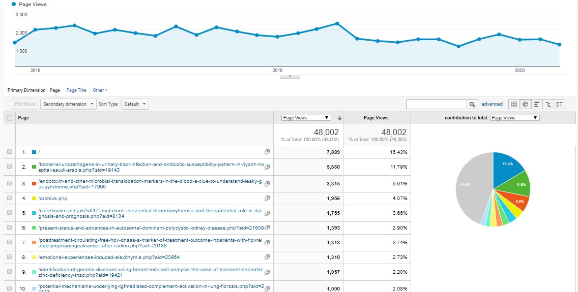 Visitor Analysis Report