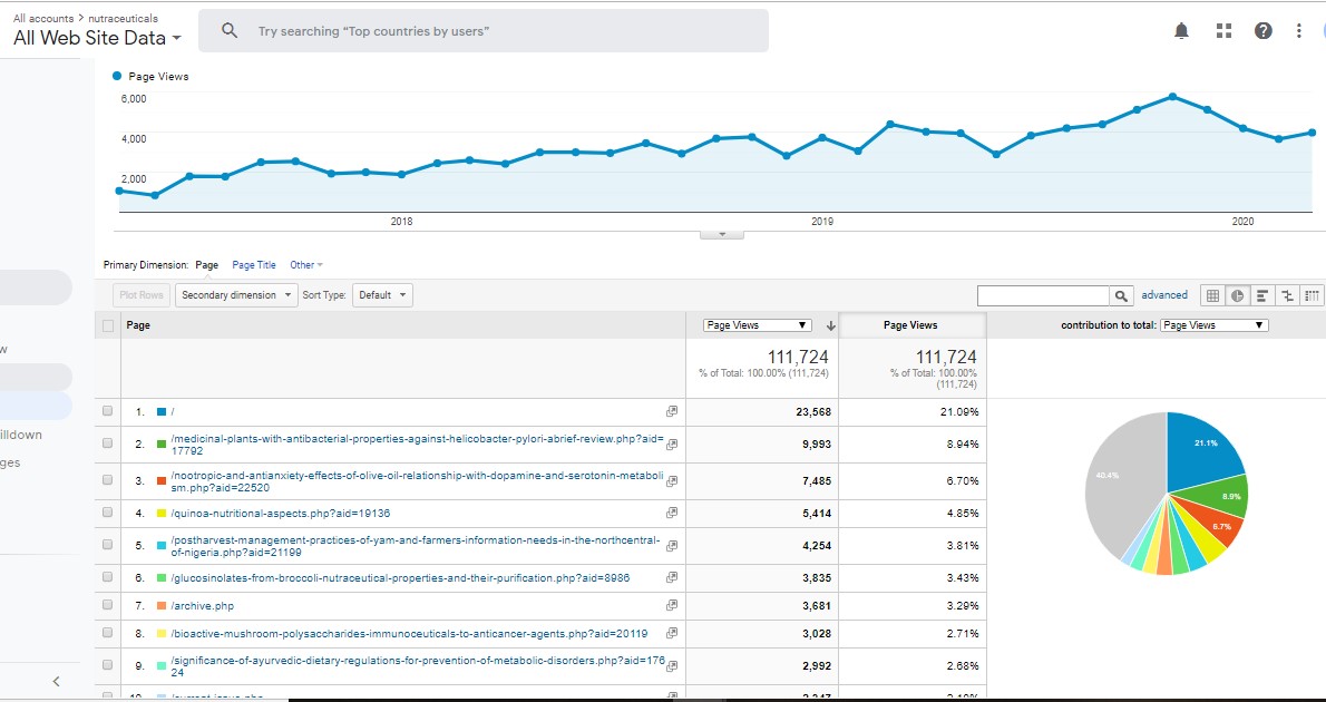 Visitor Analysis Report