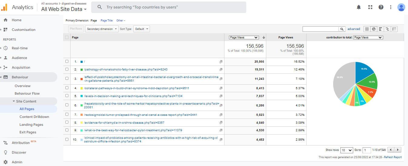 Visitor Analysis Report