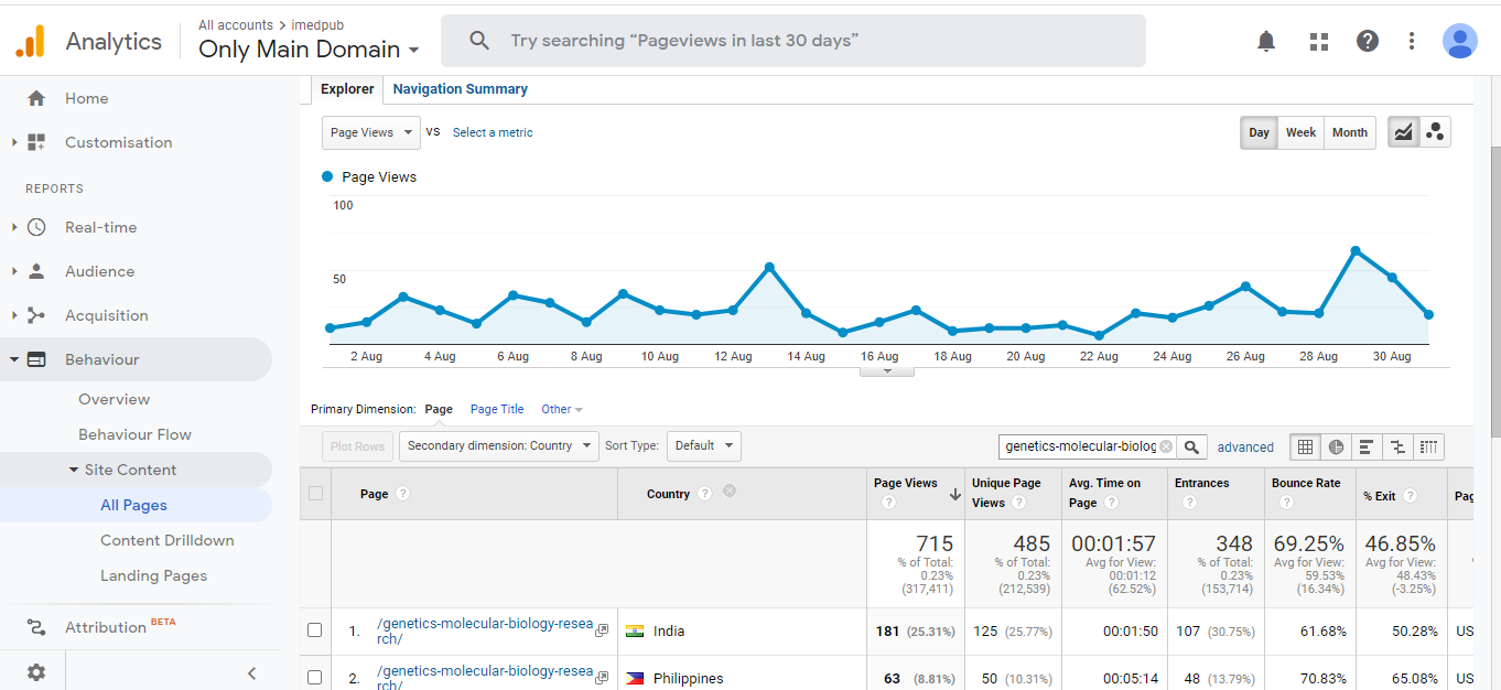 Visitor Analysis Report