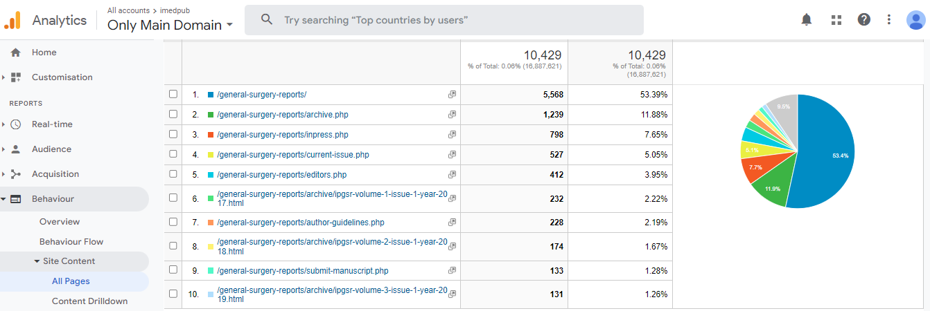 Visitor Analysis Report