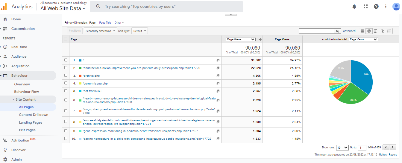 Visitor Analysis Report