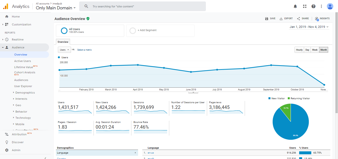 Visitor Analysis Report