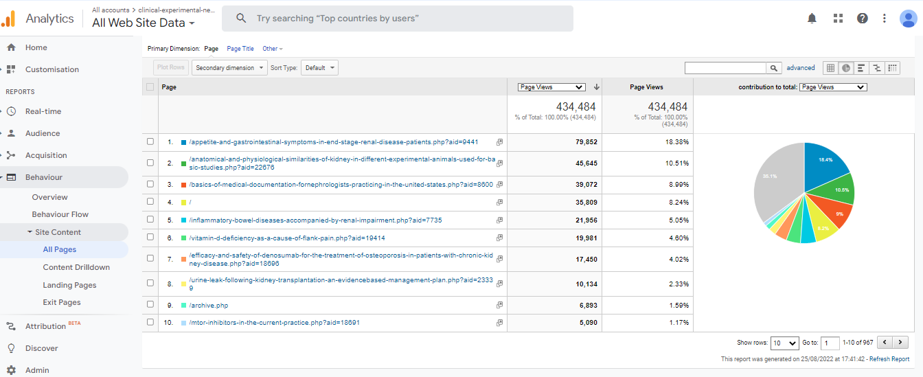 Visitor Analysis Report