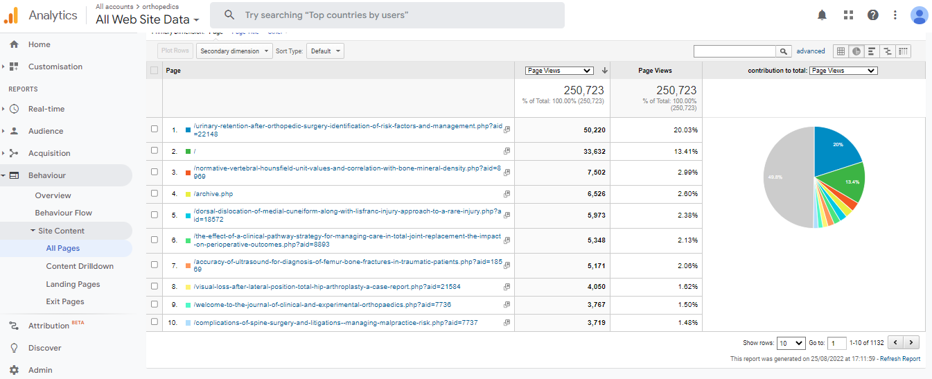 Visitor Analysis Report