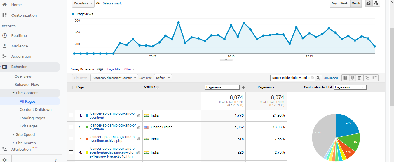 Visitor Analysis Report