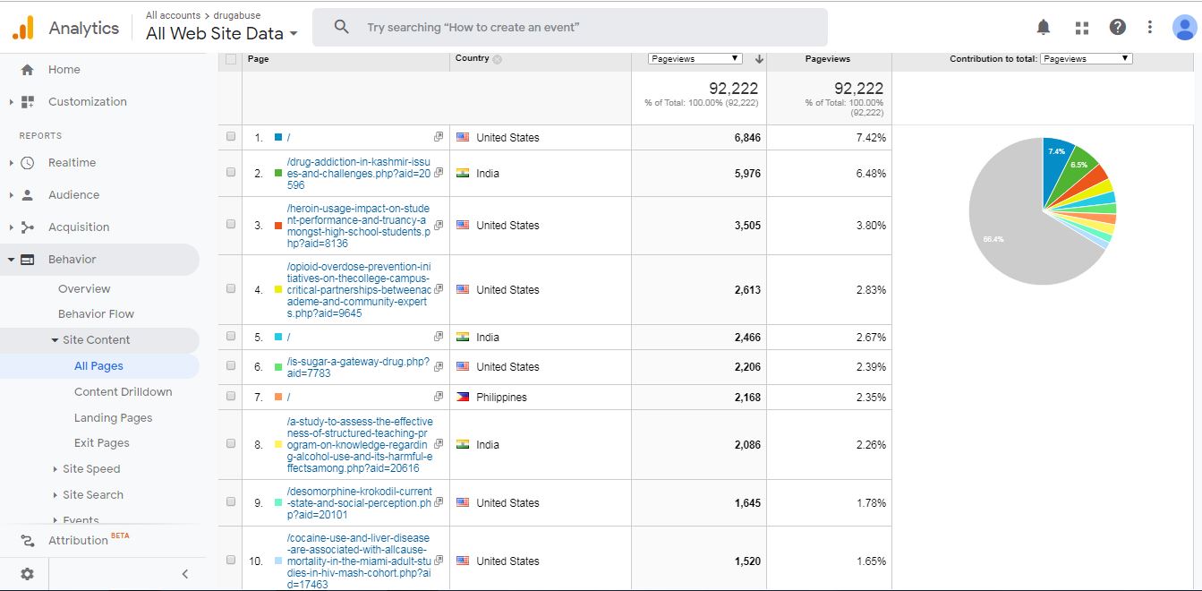 Visitor Analysis Report