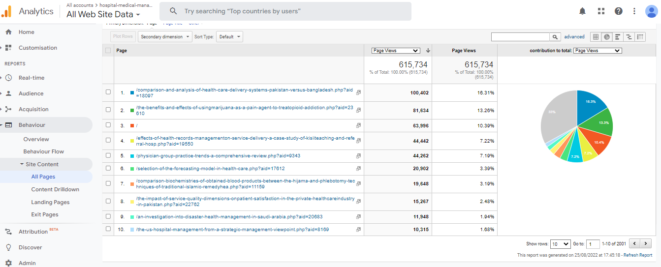 Visitor Analysis Report