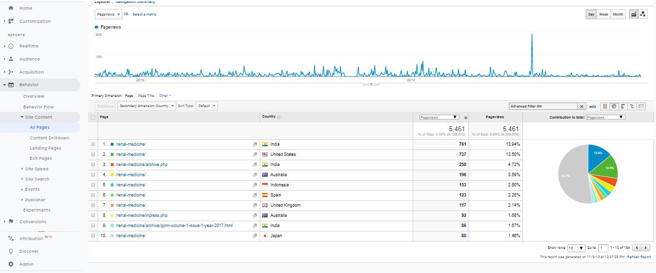 Visitor Analysis Report