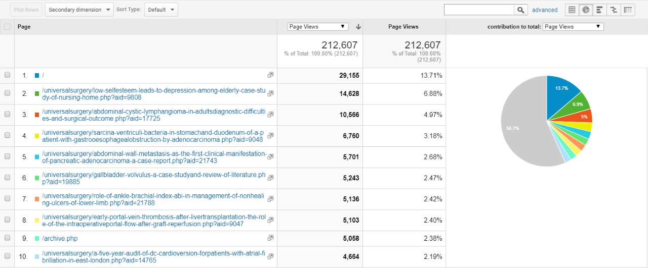 Visitor Analysis Report