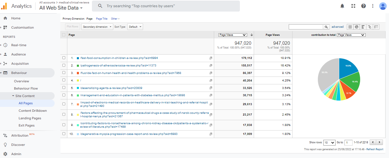 Visitor Analysis Report