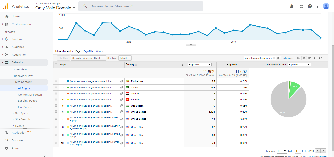 Visitor Analysis Report