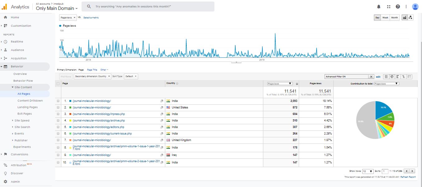 Visitor Analysis Report