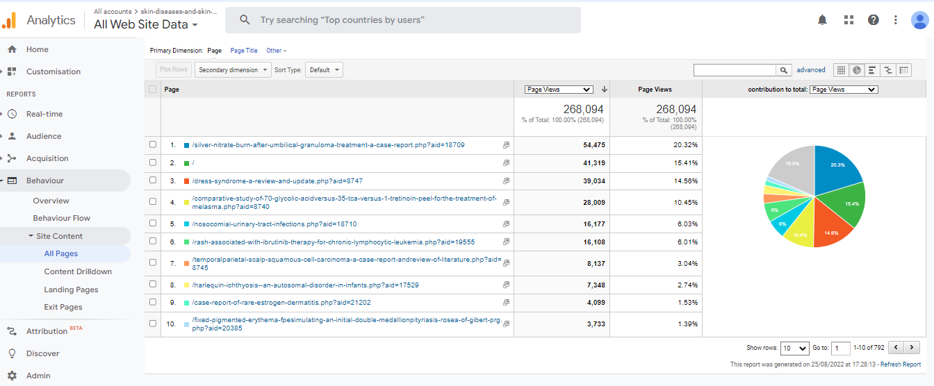 Visitor Analysis Report