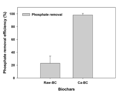 Journal-environmental-adsorption