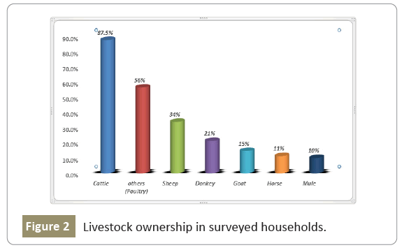 Zoonotic-Diseases-ownership