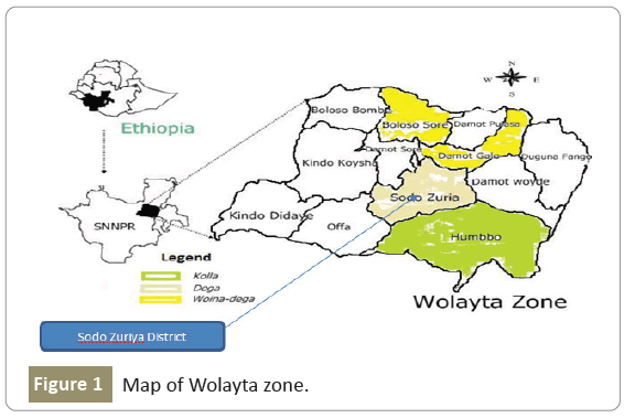 Zoonotic-Diseases-zone