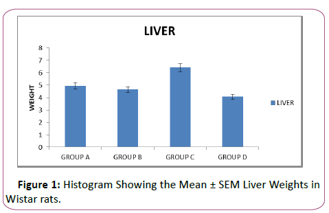 anatomical-Histogram