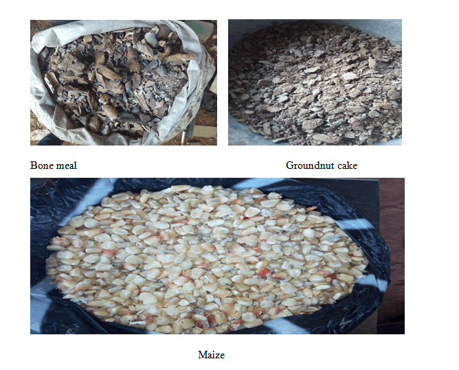 aquaculture-biotechnology