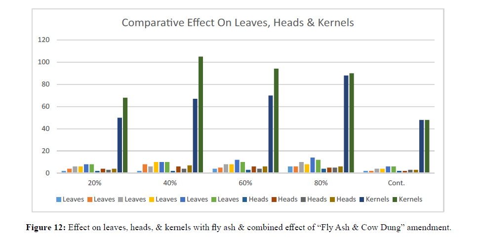 asian-plant-research-effect-leaves