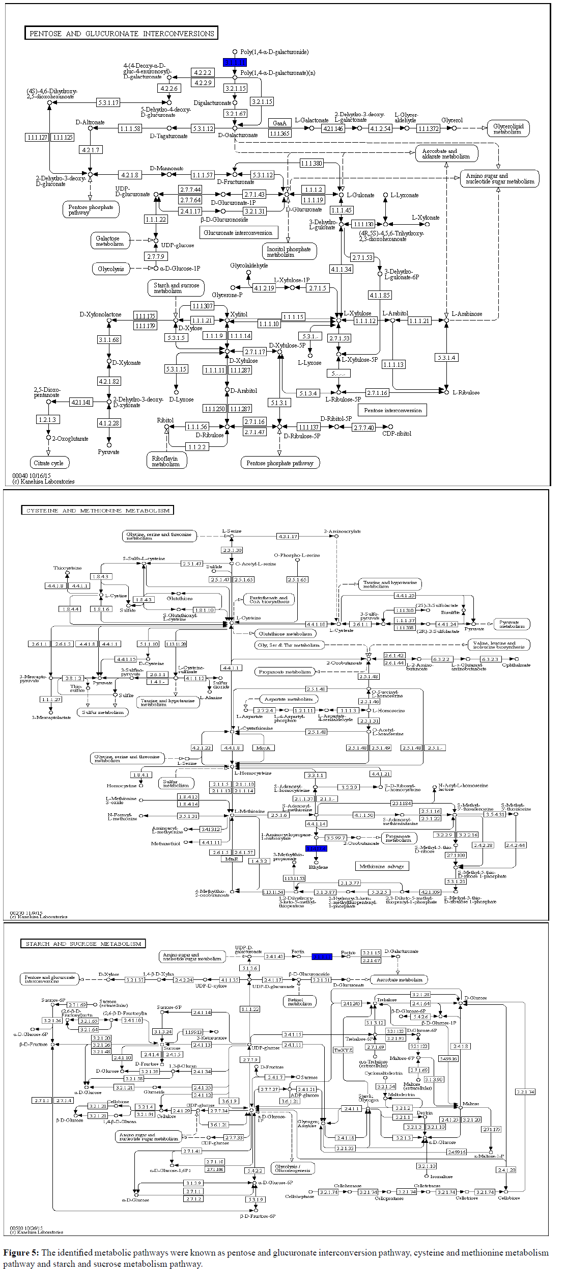 asian-plant-research-metabolic-pathways