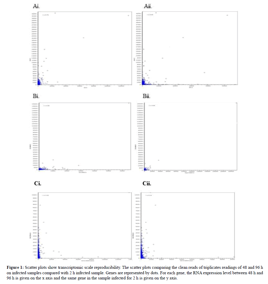 asian-plant-research-scatter-plots