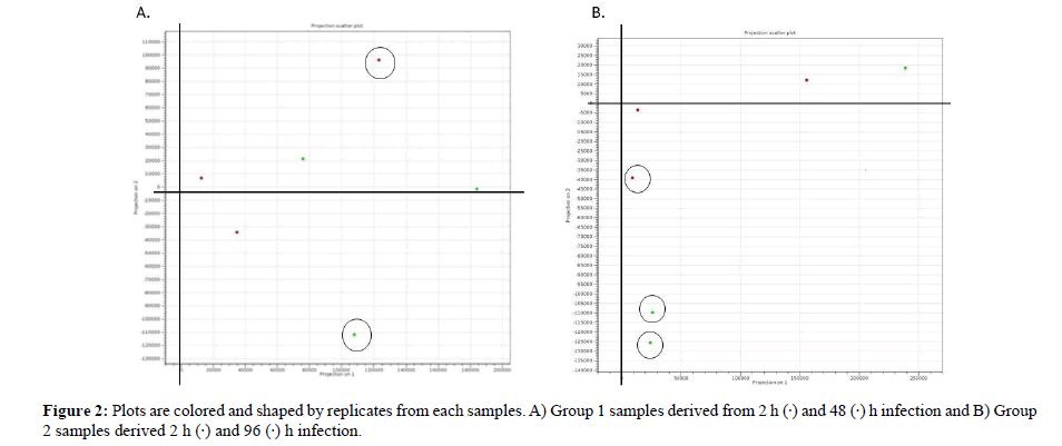 asian-plant-research-shaped-replicates