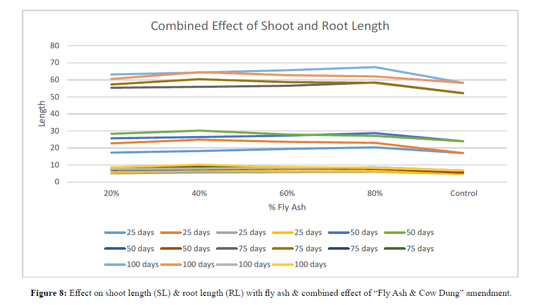 asian-plant-research-shoot-length