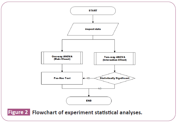 experiment