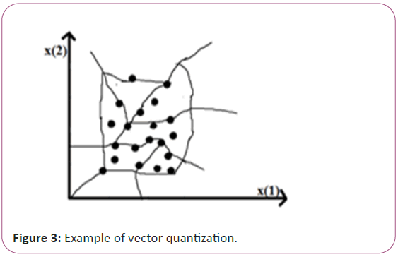 vector