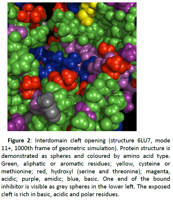 der-chemica-sinica-interdomain-cleft