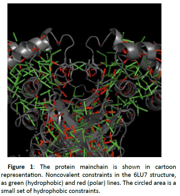 der-chemica-sinica-protein-mainchain