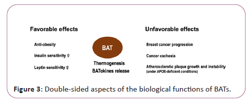 endocrinology-metabolism-produce