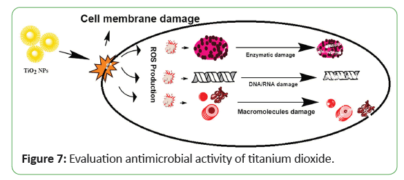 global-research-antimicrobial