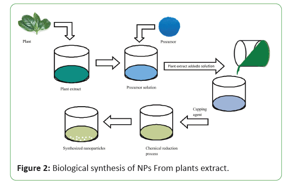 global-research-plants