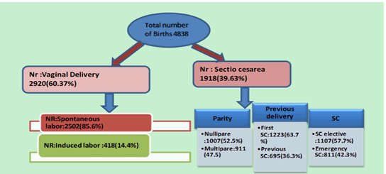 insights-reproductive-caesarean