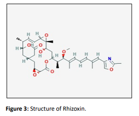 journal-organic-Rhizoxin