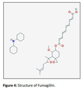 journal-organic-fumagillin