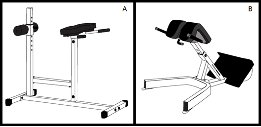 journal-physiotherapy-extension