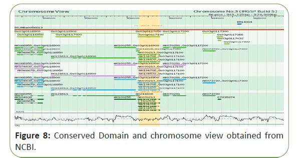 molecular-biology-chromosome