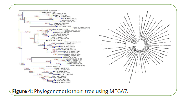 molecular-biology-domain