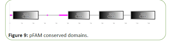 molecular-biology-domains