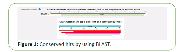 molecular-biology-hits